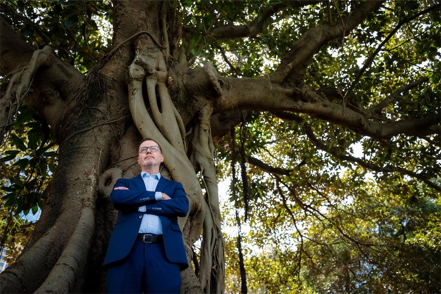 Solid and safe: why the Greens chose Shoebridge