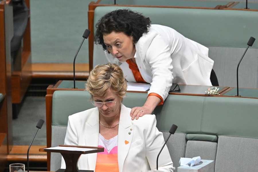 ‘A stone in our hearts’: Tears as MPs honour Haines