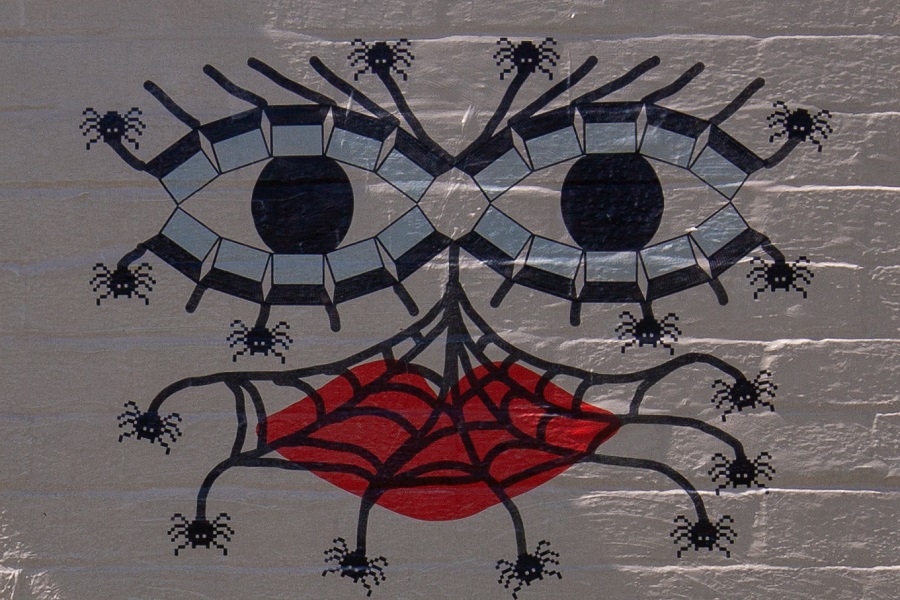Arresting worlds of webs, digital and analog