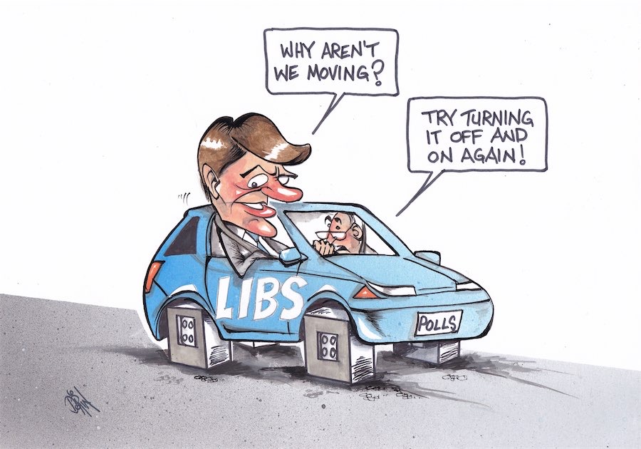 Cartoon / Dose of Dorin