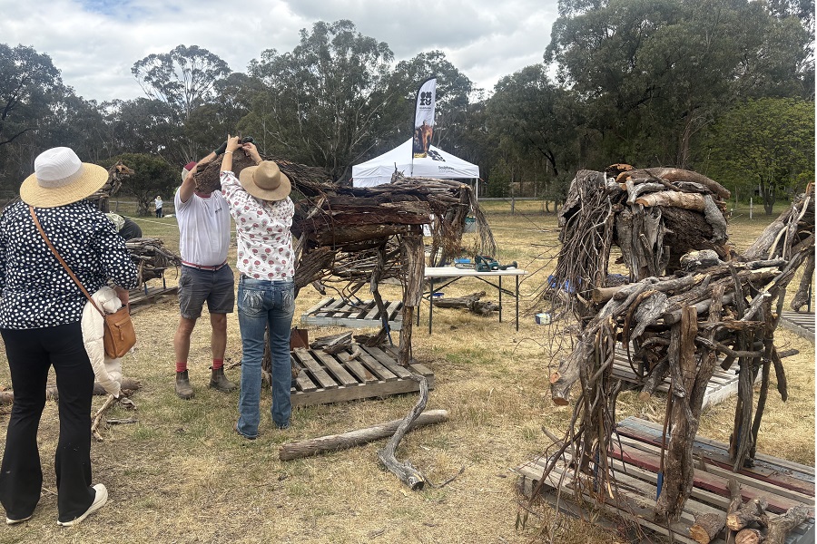 Mudgee shows how sculpture can transform a town