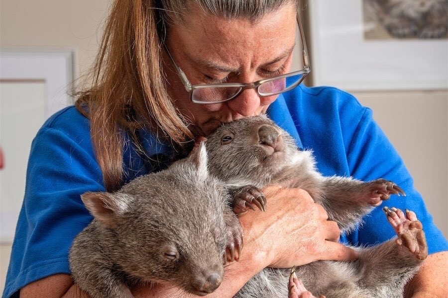 Tireless Yolandi and her love for that ‘wombat thing’