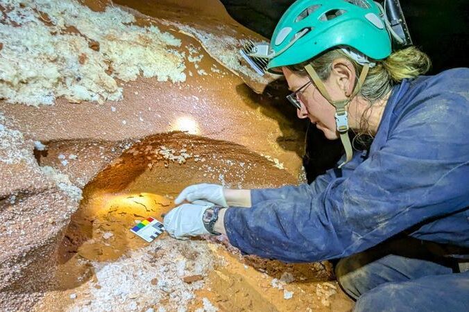 ‘Living dinosaur’ relics found in ancient desert caves